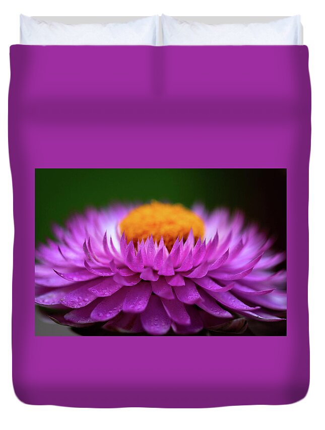Flower Duvet Cover featuring the photograph Everlasting by Carrie Hannigan