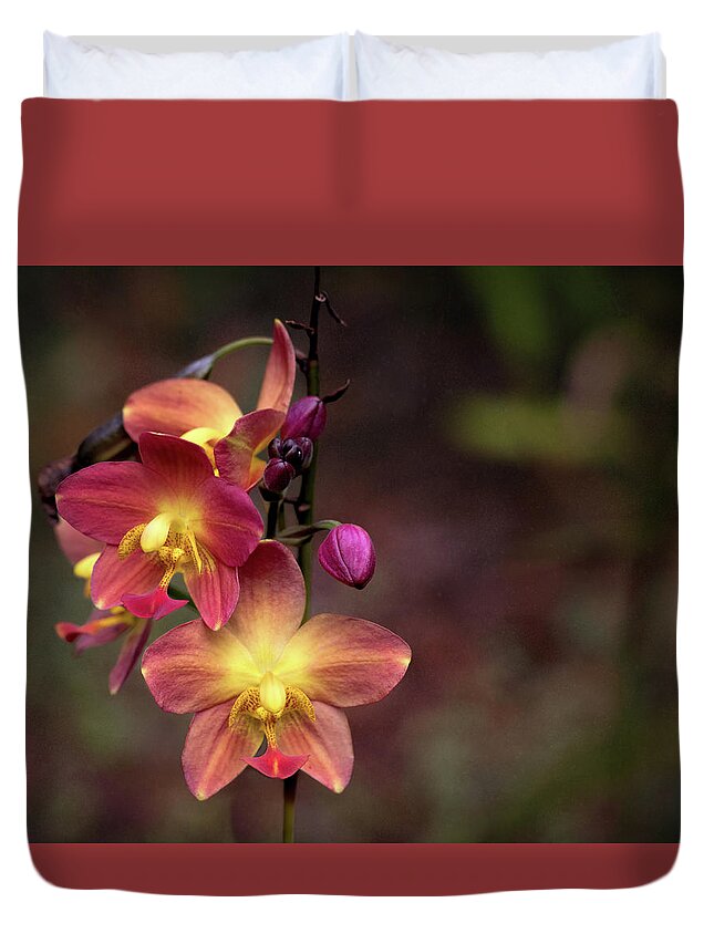 Orchids Duvet Cover featuring the photograph Exotic Orchid 2 by Susan Rissi Tregoning