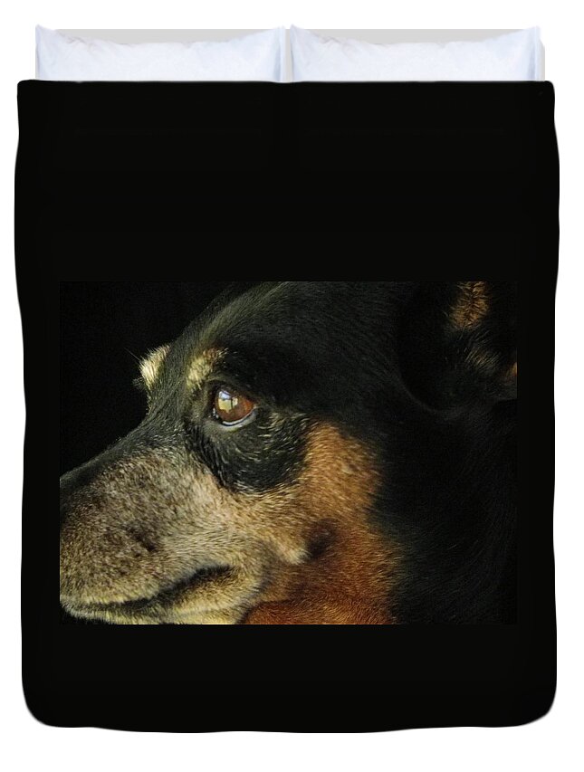 Animal Duvet Cover featuring the photograph Experienced Guard by Simply Summery