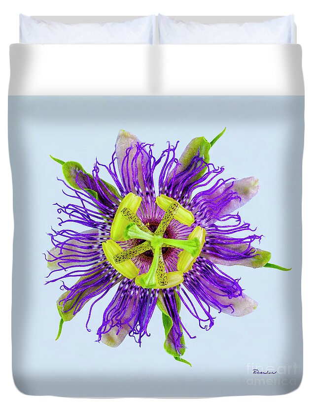 Expressive Duvet Cover featuring the photograph Expressive Yellow Green and Violet Passion Flower 50674B by Ricardos Creations