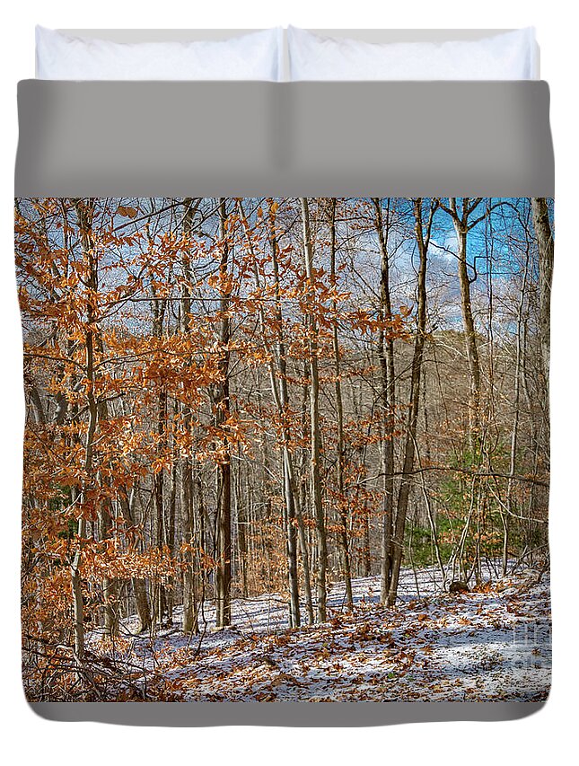 Rental Duvet Cover featuring the photograph Exterior 41 by William Norton