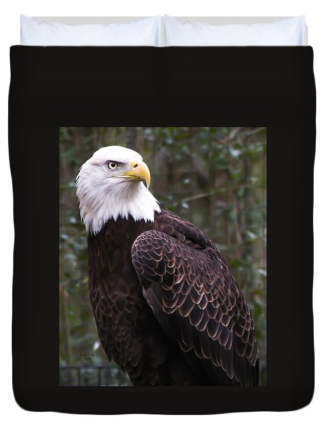 Bird Duvet Cover featuring the photograph Eye Of The Eagle by Trish Tritz