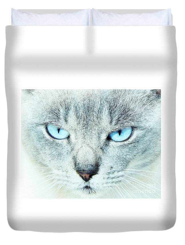 Cat Duvet Cover featuring the photograph Eyes Of Blue by Jan Gelders