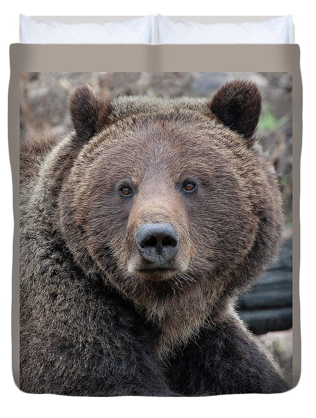 Grizzly Duvet Cover featuring the photograph Face of the Grizzly by Mark Miller