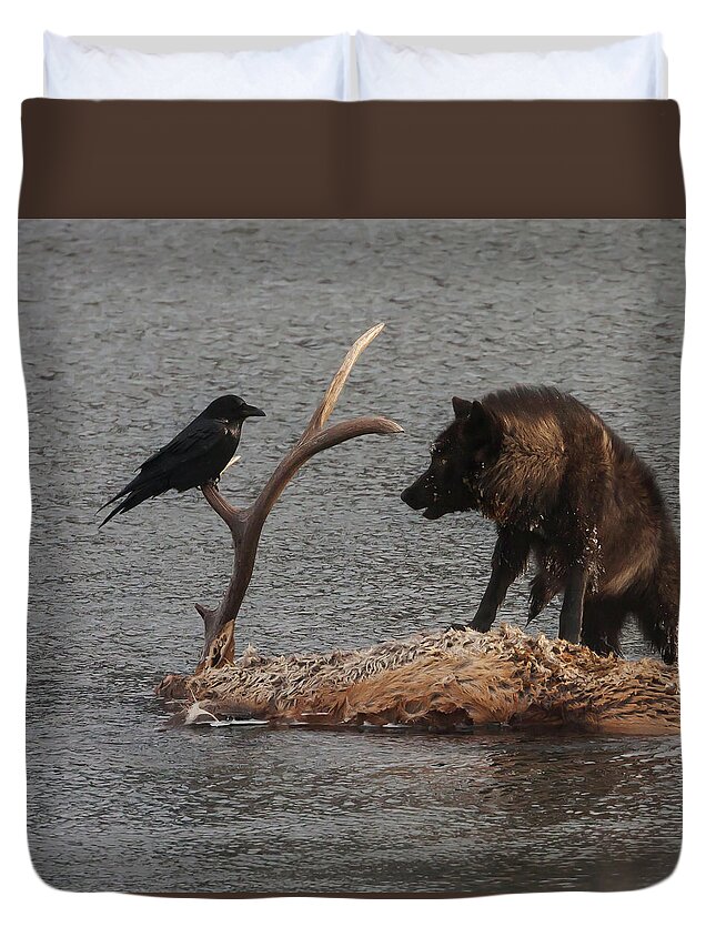 Mark Miller Photos Duvet Cover featuring the photograph Face to Face Wolf and Raven by Mark Miller