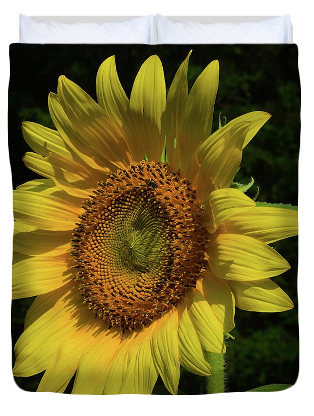 Flower Duvet Cover featuring the photograph Hand Made By God by Donna Brown
