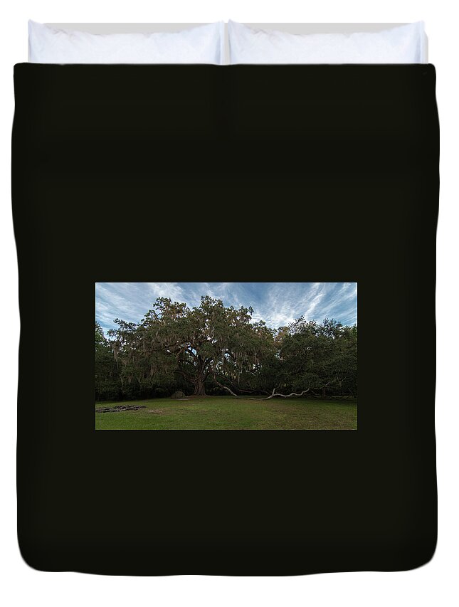 Oak Duvet Cover featuring the photograph Fairchild Oak by Paul Rebmann