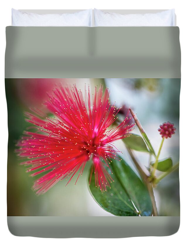 Fairy Duvet Cover featuring the photograph Fairy Duster by Susie Weaver