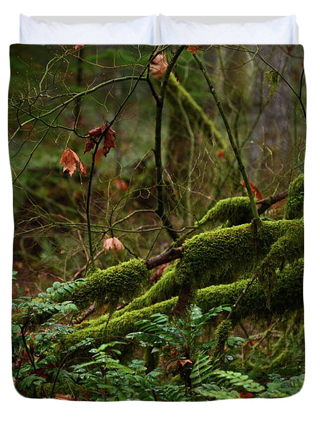 Fairies Duvet Cover featuring the photograph Fairy Forest by Whispering Peaks Photography