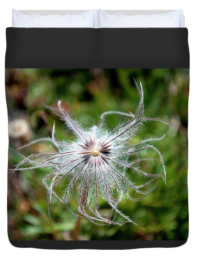 Flower Duvet Cover featuring the photograph Fairy Pinwheel by Julia McHugh