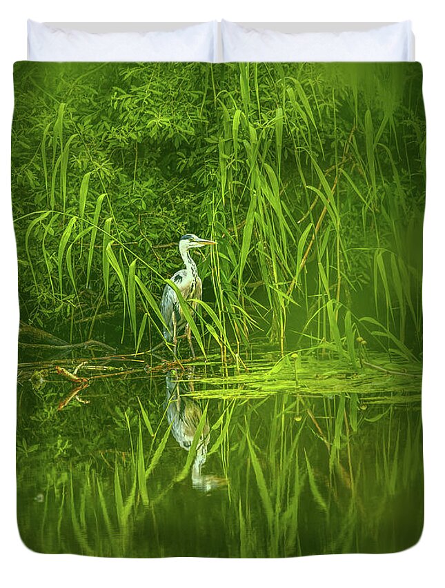 Nature Duvet Cover featuring the photograph Fairy tale heron #g5 by Leif Sohlman