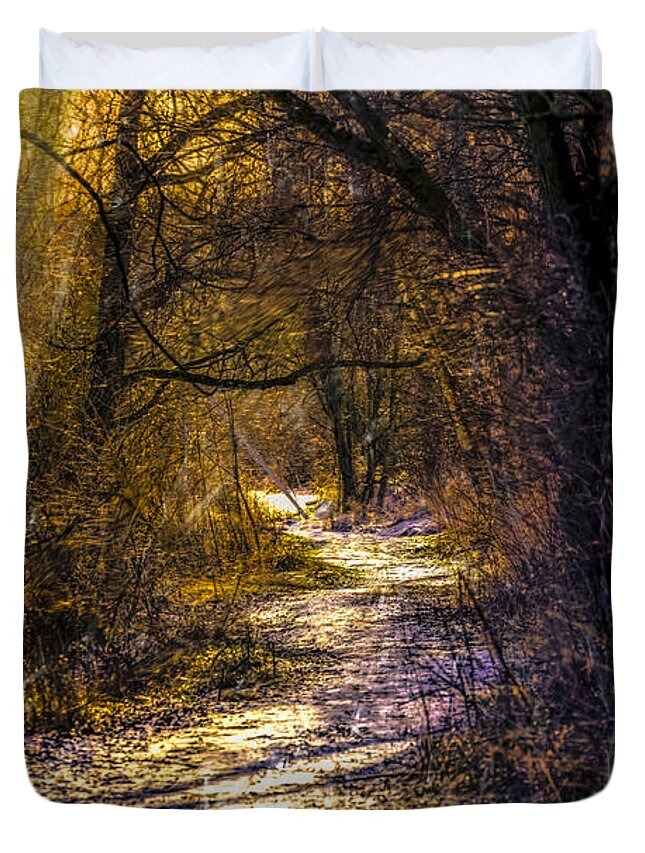 Artistic Duvet Cover featuring the photograph Fairy Woods Artistic by Leif Sohlman
