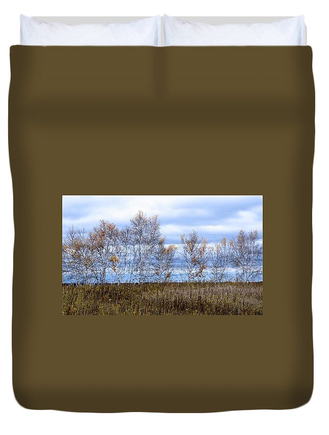 Fall Colors Duvet Cover featuring the photograph Fall Birch by Michael Hall