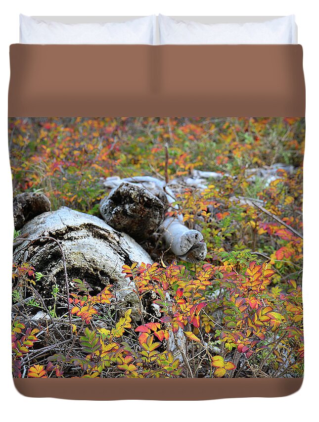 Art Duvet Cover featuring the photograph Fall Color on the Beach by Ronda Broatch