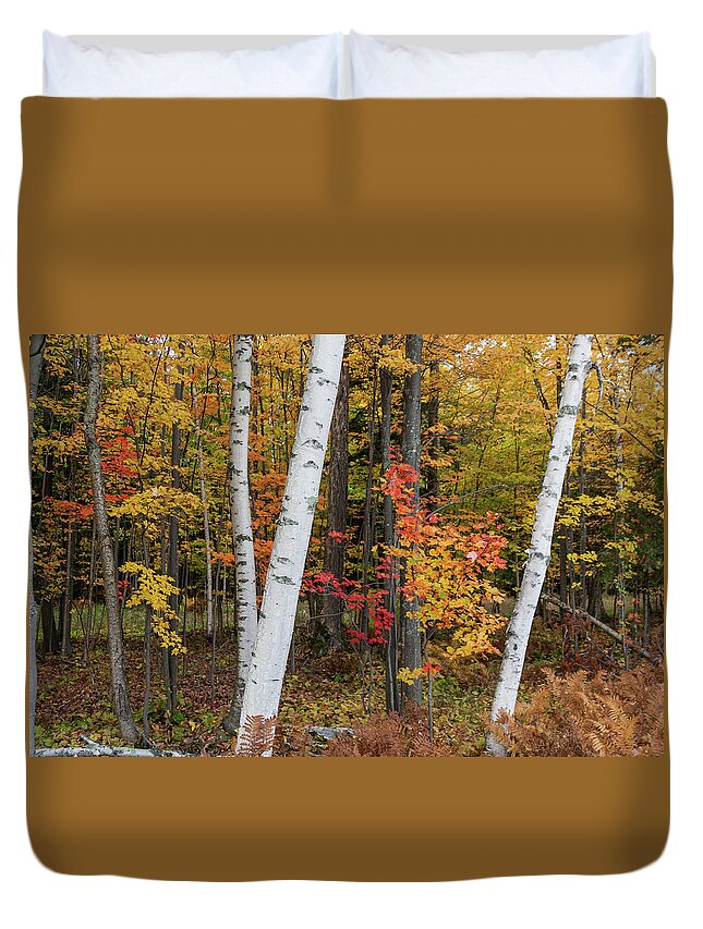 Duvet Cover featuring the photograph Fall Color by Paul Schultz