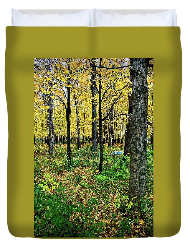 Fall Duvet Cover featuring the photograph Fall Fusion by Burney Lieberman