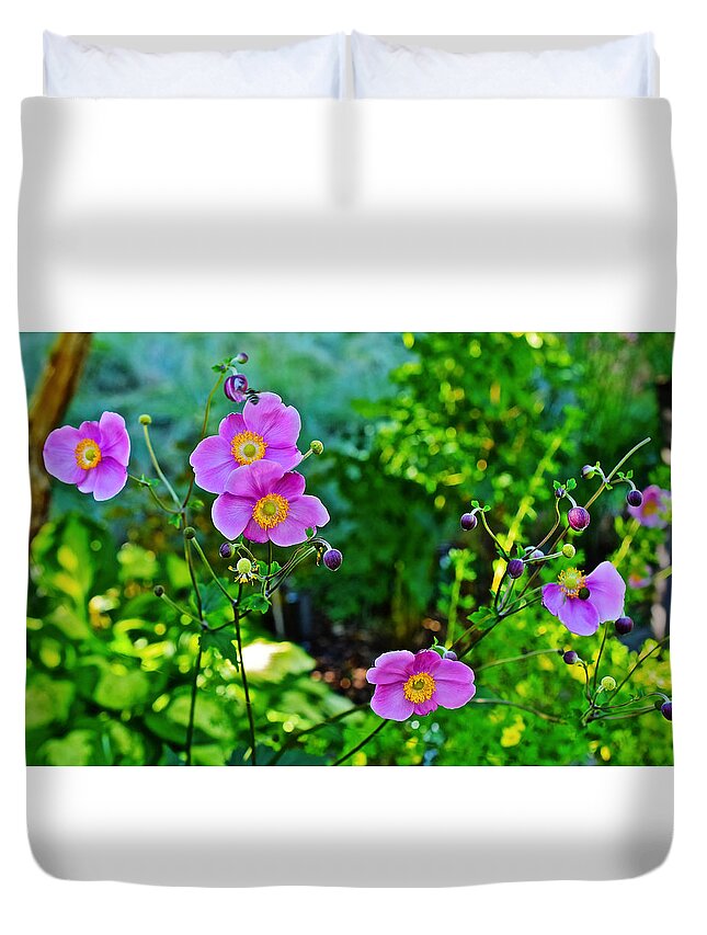 Anemone Duvet Cover featuring the photograph Fall Gardens September Charm Anemone by Janis Senungetuk