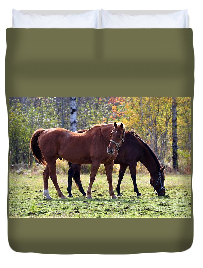 Horse Duvet Cover featuring the photograph Horses Fall Grazing by Glenn Gordon