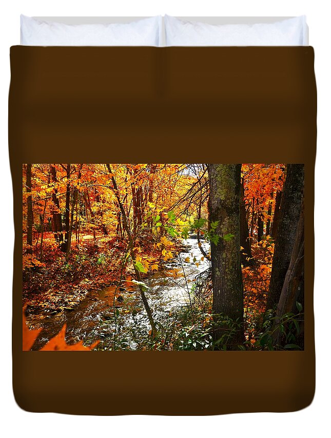  Duvet Cover featuring the photograph Fall in the Mountains by Chuck Brown