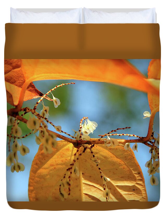 Fall Duvet Cover featuring the photograph Fall Jewels by Becca Wilcox