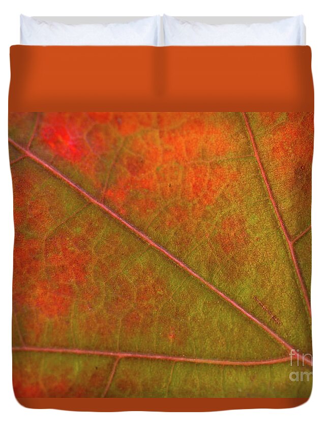 Fall Duvet Cover featuring the photograph Fall Leaf Jewel by Ana V Ramirez