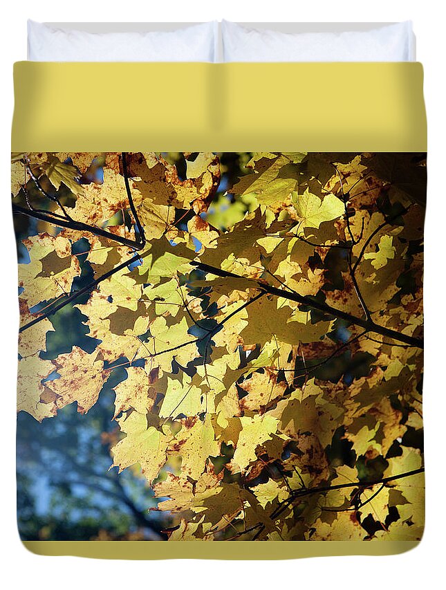 Michigan Duvet Cover featuring the photograph Fall Leaves by Rich S