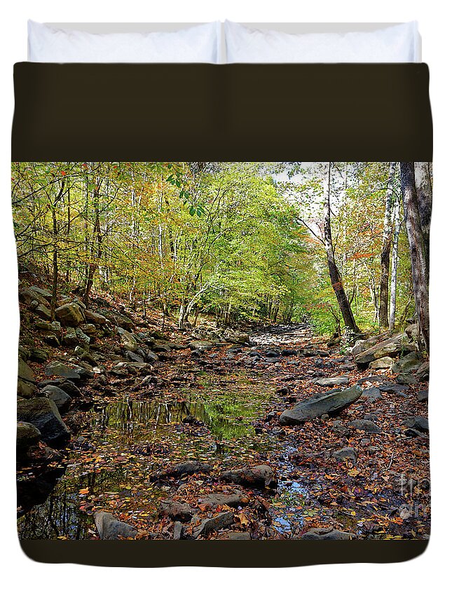 Water Reflections Duvet Cover featuring the photograph Fall Magic by Paul Mashburn