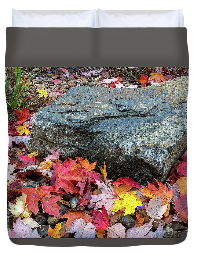 Maple Duvet Cover featuring the photograph Fall Maple Leaves by Rock in Garden Backyard by David Gn