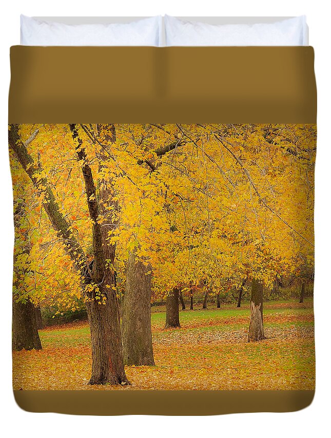 Illinois Duvet Cover featuring the photograph Fall Maples at Starved Rock by Joni Eskridge