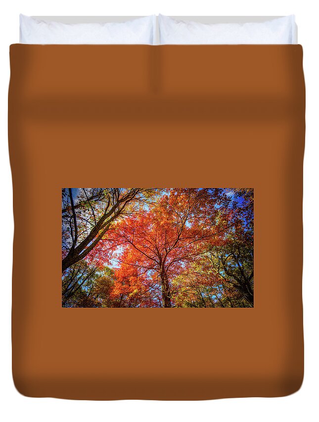 Landscape Duvet Cover featuring the photograph Fall Red by Joe Shrader