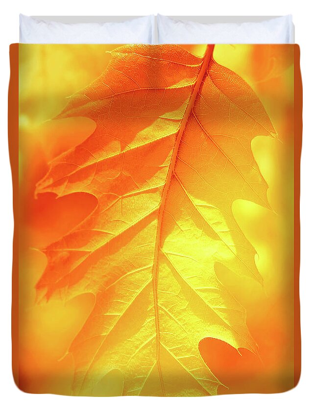Leaf Duvet Cover featuring the photograph Fall Shade by Iryna Goodall