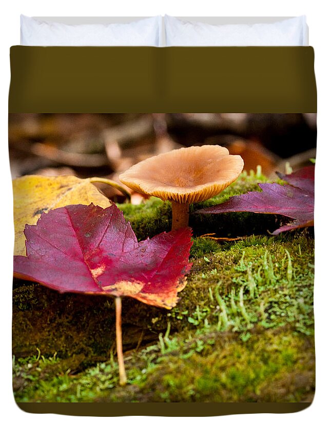Leaf Duvet Cover featuring the photograph Fallen Leaves and Mushrooms by Brent L Ander