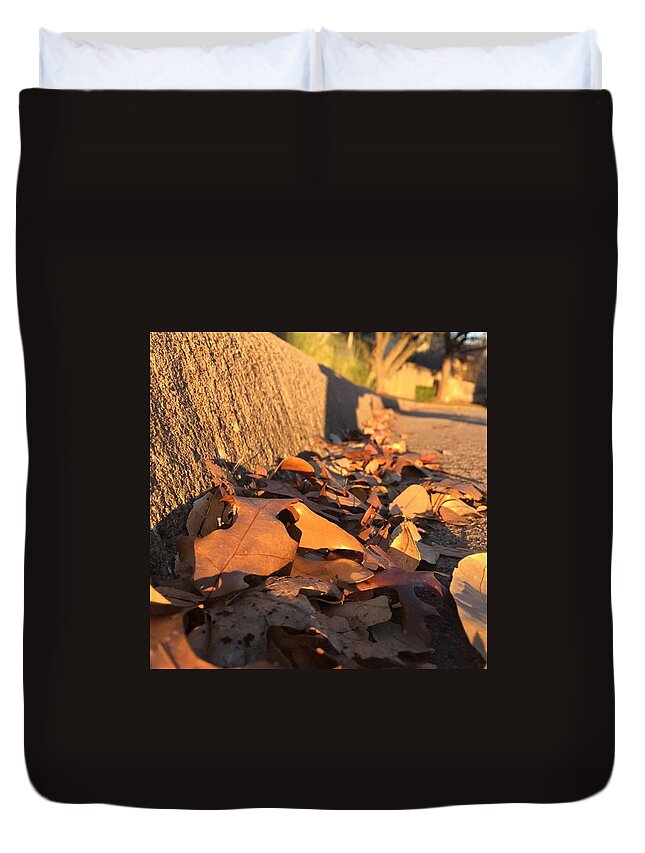 Beauty Duvet Cover featuring the photograph Fallen Leaves! Just Makes You Remember by Devin Workman