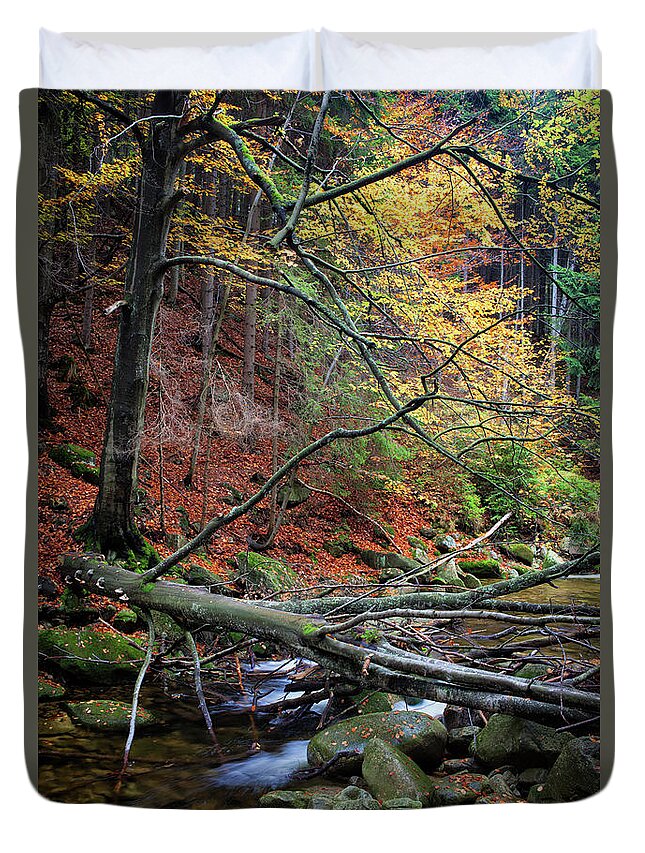 Stream Duvet Cover featuring the photograph Fallen Tree Over Stream In Autumn Forest by Artur Bogacki