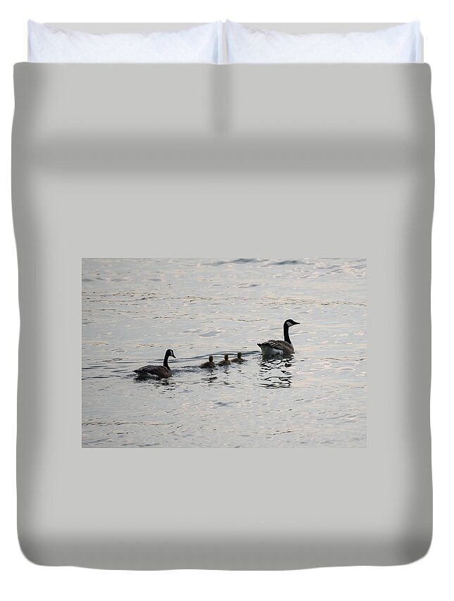 Goose Duvet Cover featuring the photograph Family of Canada Geese on the Ohio River by Holden The Moment