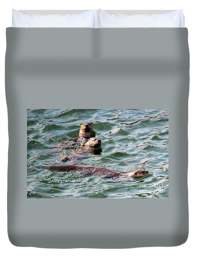 Otters Duvet Cover featuring the photograph Family Play Time by Michael Dawson