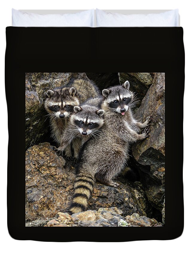 Raccon Duvet Cover featuring the photograph Family Portrait by Jerry Cahill