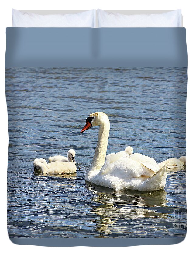 Swan Duvet Cover featuring the photograph Family Time by Alyce Taylor