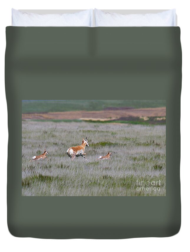 Pronghorn Antelope Duvet Cover featuring the photograph Famliy Flight by Jim Garrison
