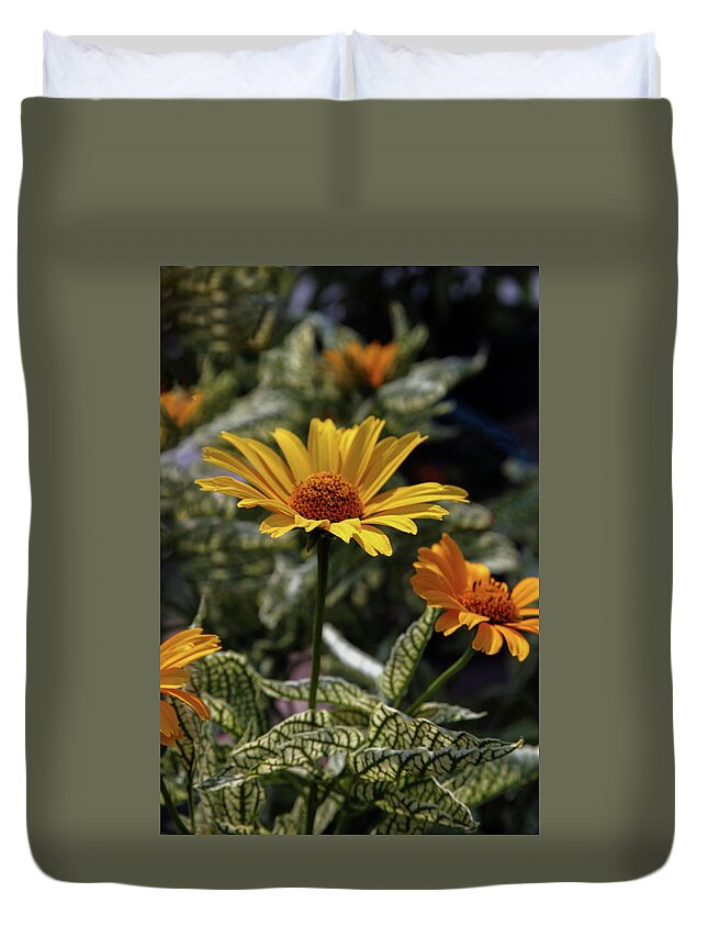 Fancy Leaves Duvet Cover featuring the photograph Fancy Leaves 3763 H_2 by Steven Ward