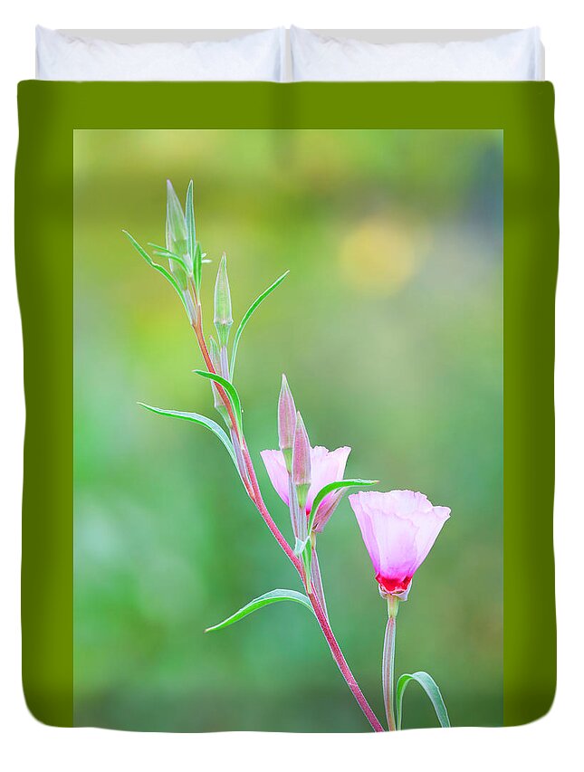 Wildflower Farewell-to-spring Duvet Cover featuring the photograph Farewell to Spring by Ram Vasudev