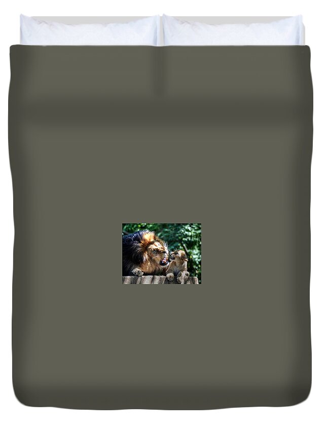 Male Lion And Cub Duvet Cover featuring the photograph Father teaching son by Ronda Ryan