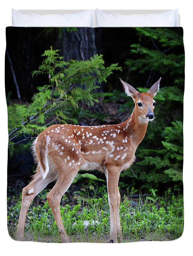 Fawn Duvet Cover featuring the photograph Fawn at Forest Edge by Whispering Peaks Photography