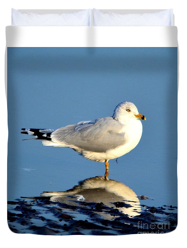 Gull Duvet Cover featuring the photograph Feathered Float by Dani McEvoy