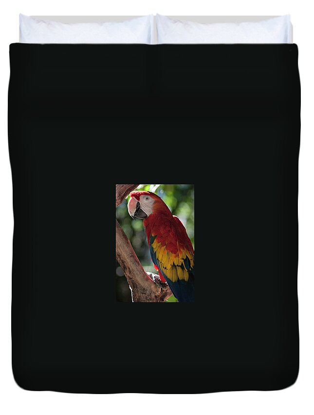Photography Duvet Cover featuring the photograph Feathered Rainbow by Kathleen Messmer