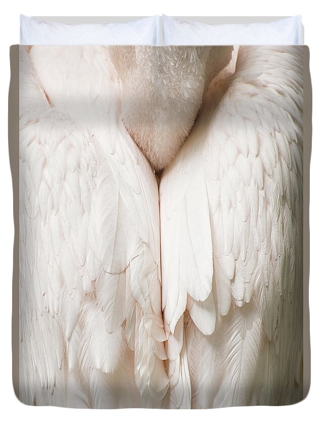 Eastern White Pelican Duvet Cover featuring the photograph Feathers by Kuni Photography