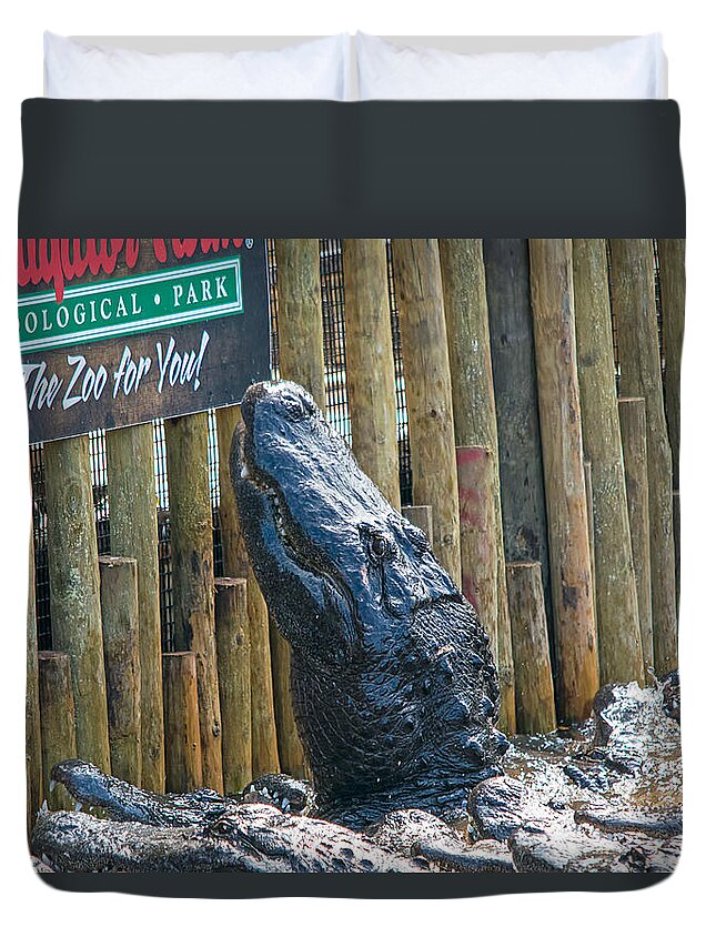 Wildlife Duvet Cover featuring the photograph Feed Me by Kenneth Albin
