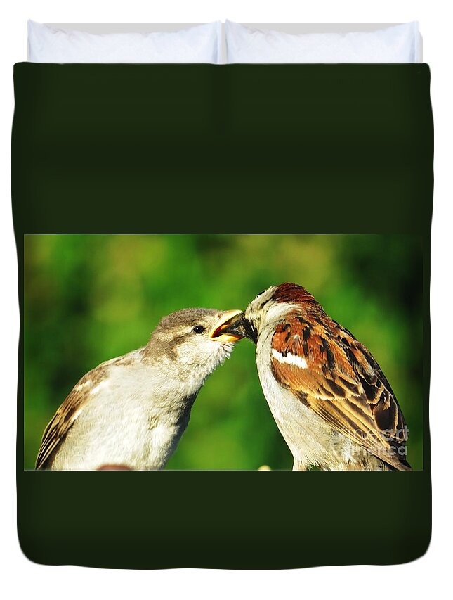 Sparrows Duvet Cover featuring the photograph Feeding Baby Sparrow 3 by Judy Via-Wolff