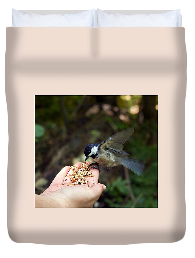Bird Duvet Cover featuring the photograph Feeding bird from my hand by Lilia S