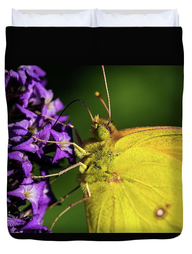 Jay Stockhaus Duvet Cover featuring the photograph Feeding Butterfly by Jay Stockhaus